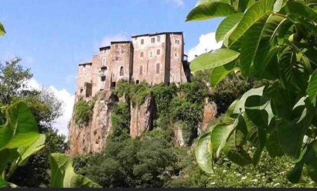 Agriturismo Villa Amerina Corchiano Bagian luar foto