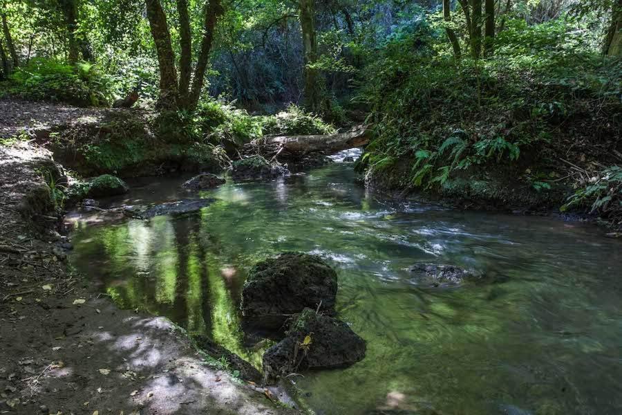 Agriturismo Villa Amerina Corchiano Bagian luar foto